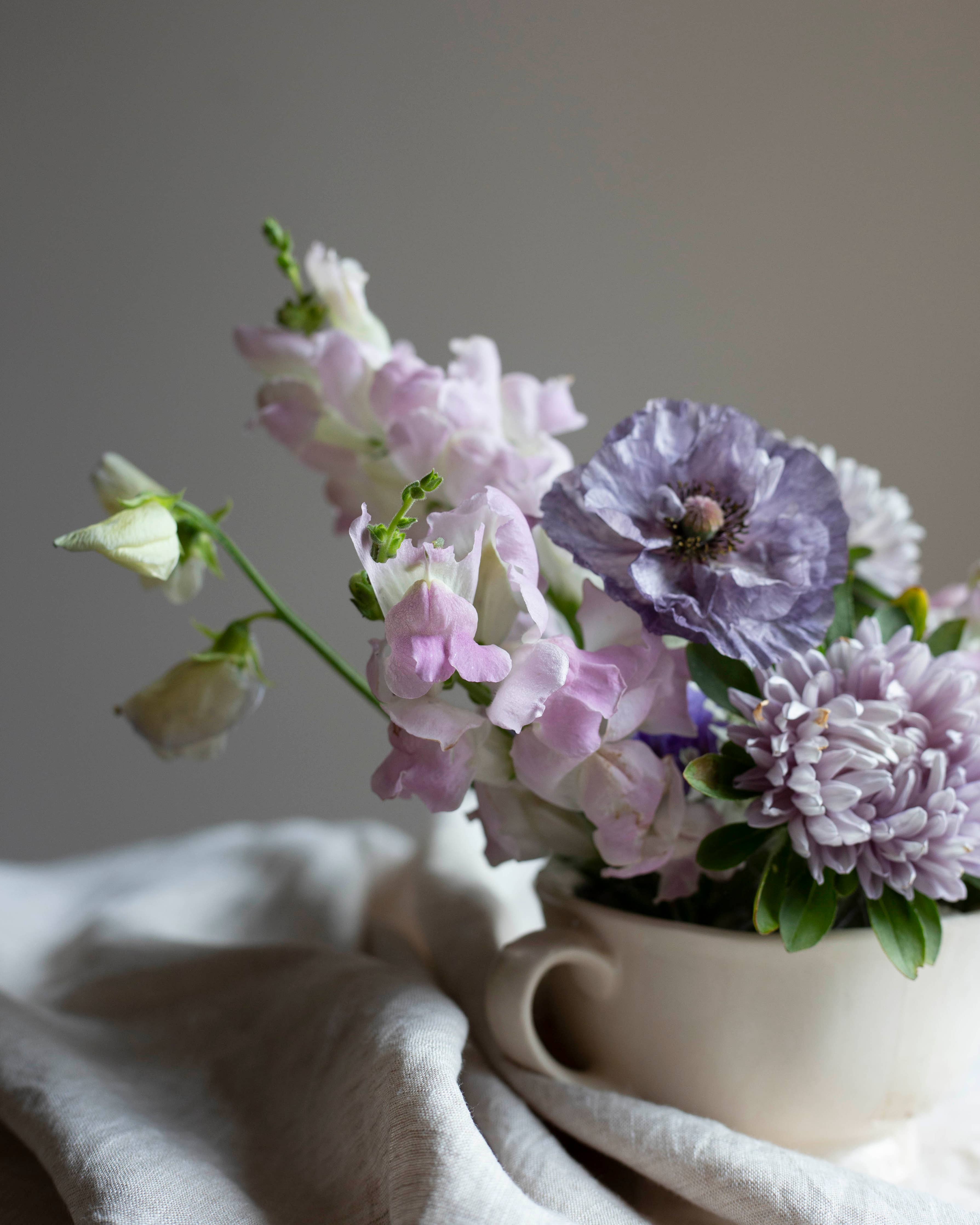 Duftwicke 'Spencer Old Times'