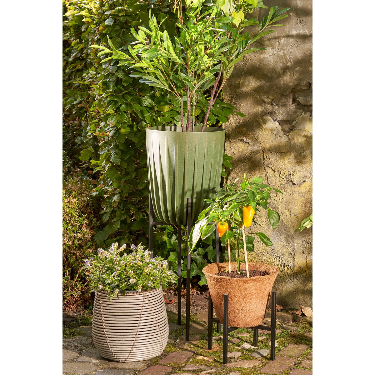 Blumentopf Lungo H36 x Ø30 cm