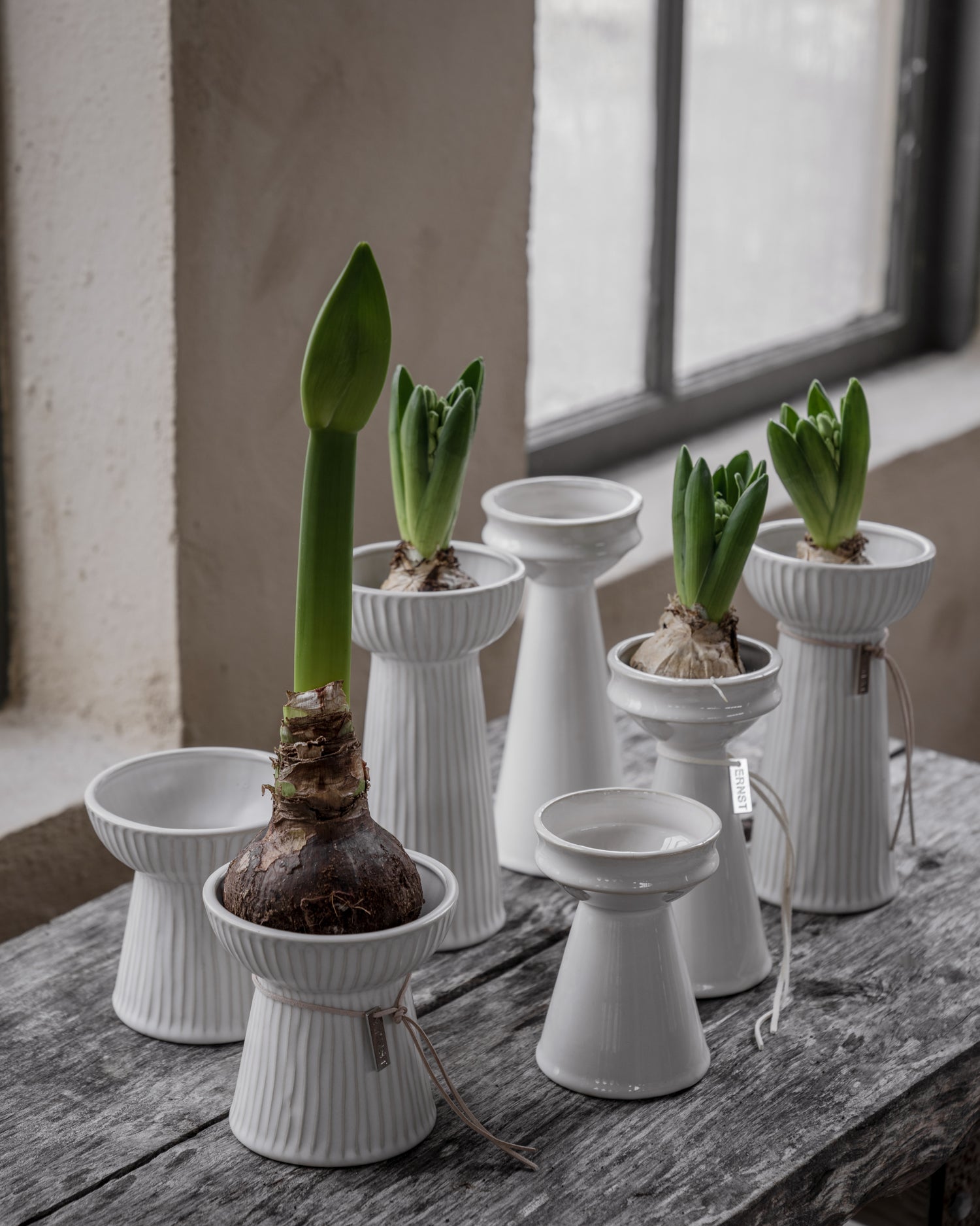 Hyazinthen Vase oder Kerzenhalter von ERNST