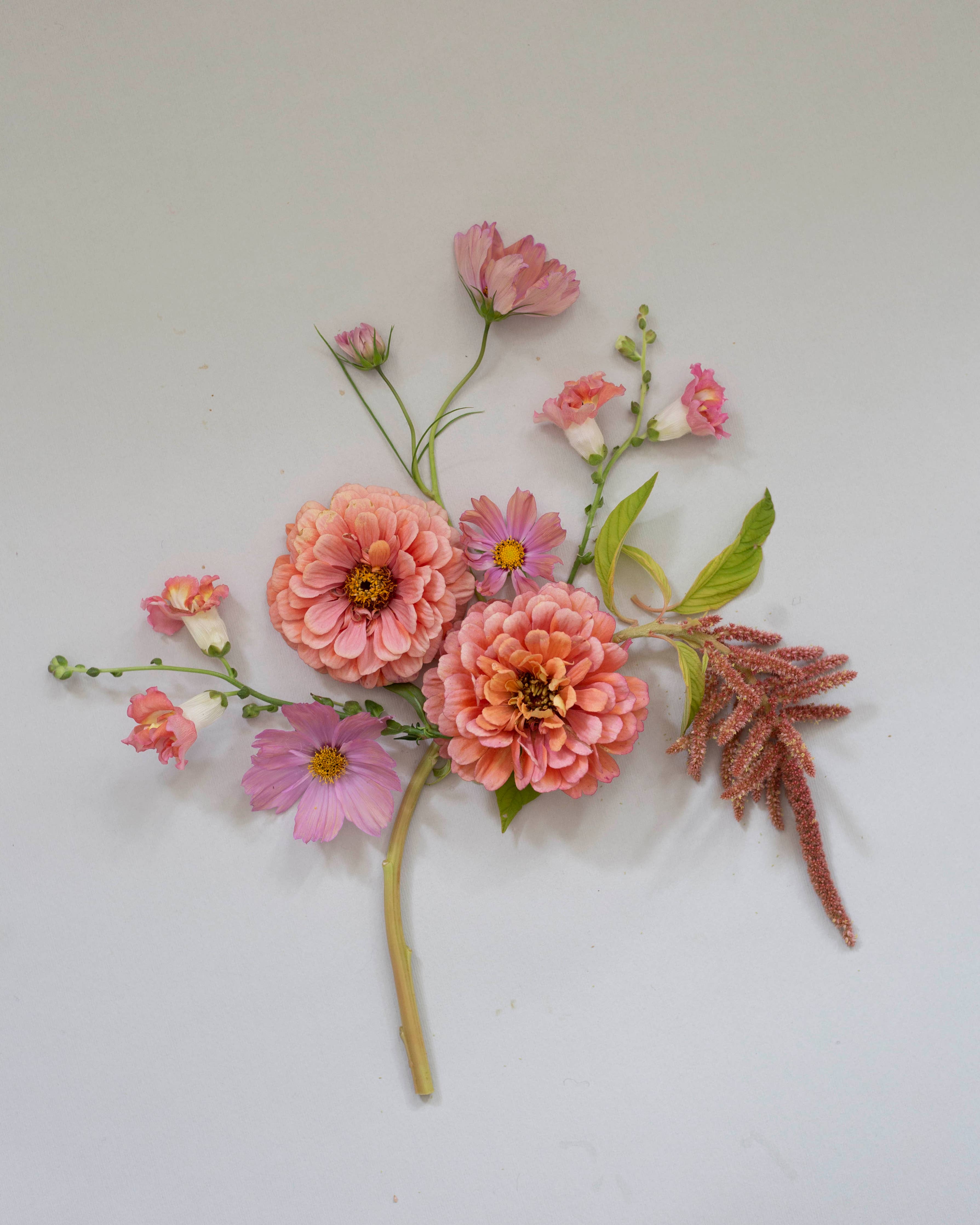 Revonhäntä Coral Fountain