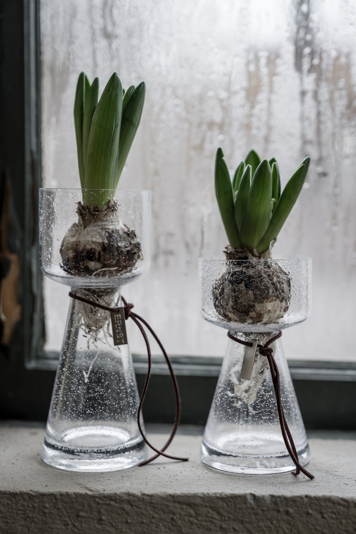 Hyazinthen Vase aus Glas von ERNST
