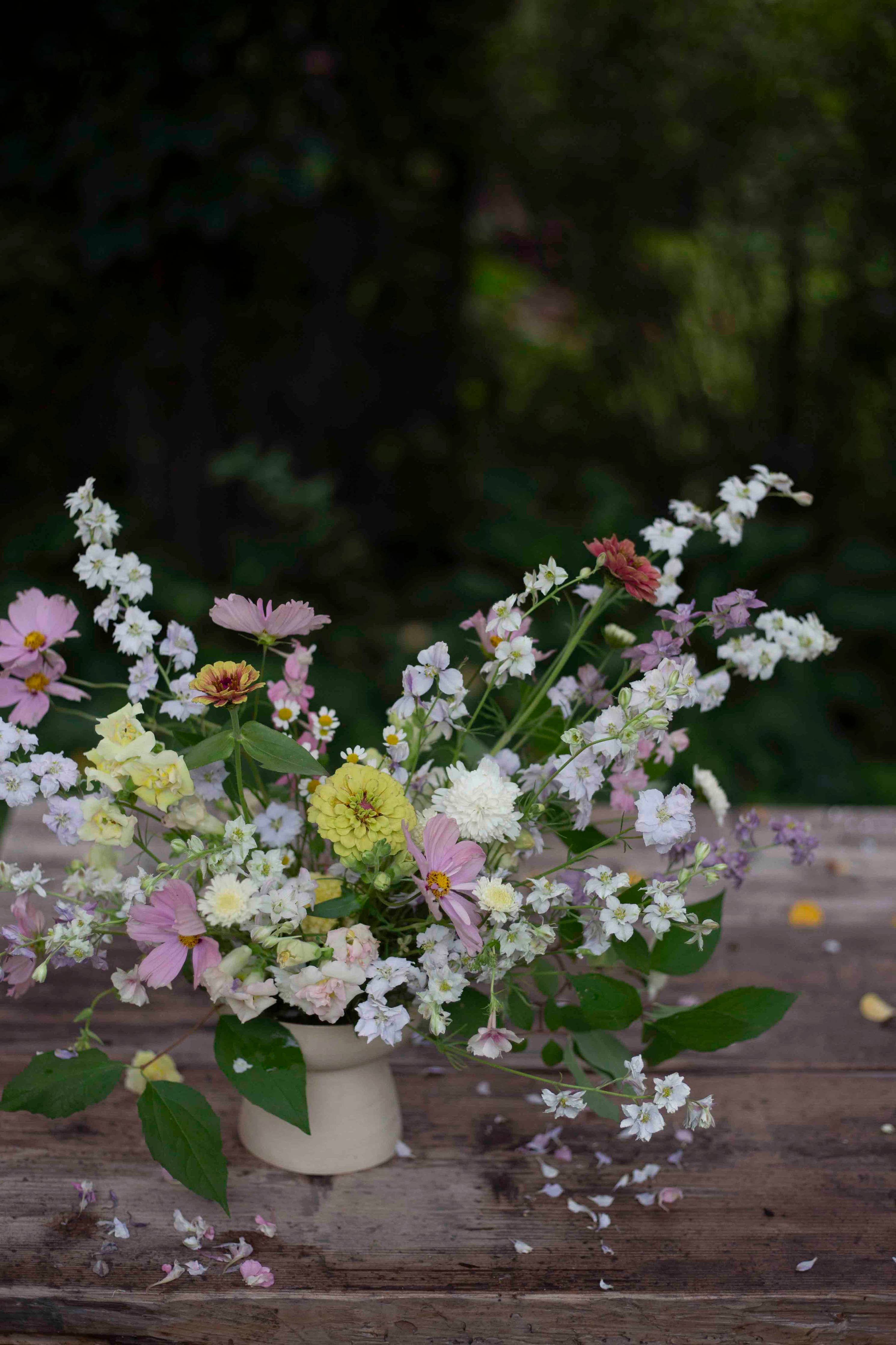 Tarhakukonkannus Winter Sky Medley