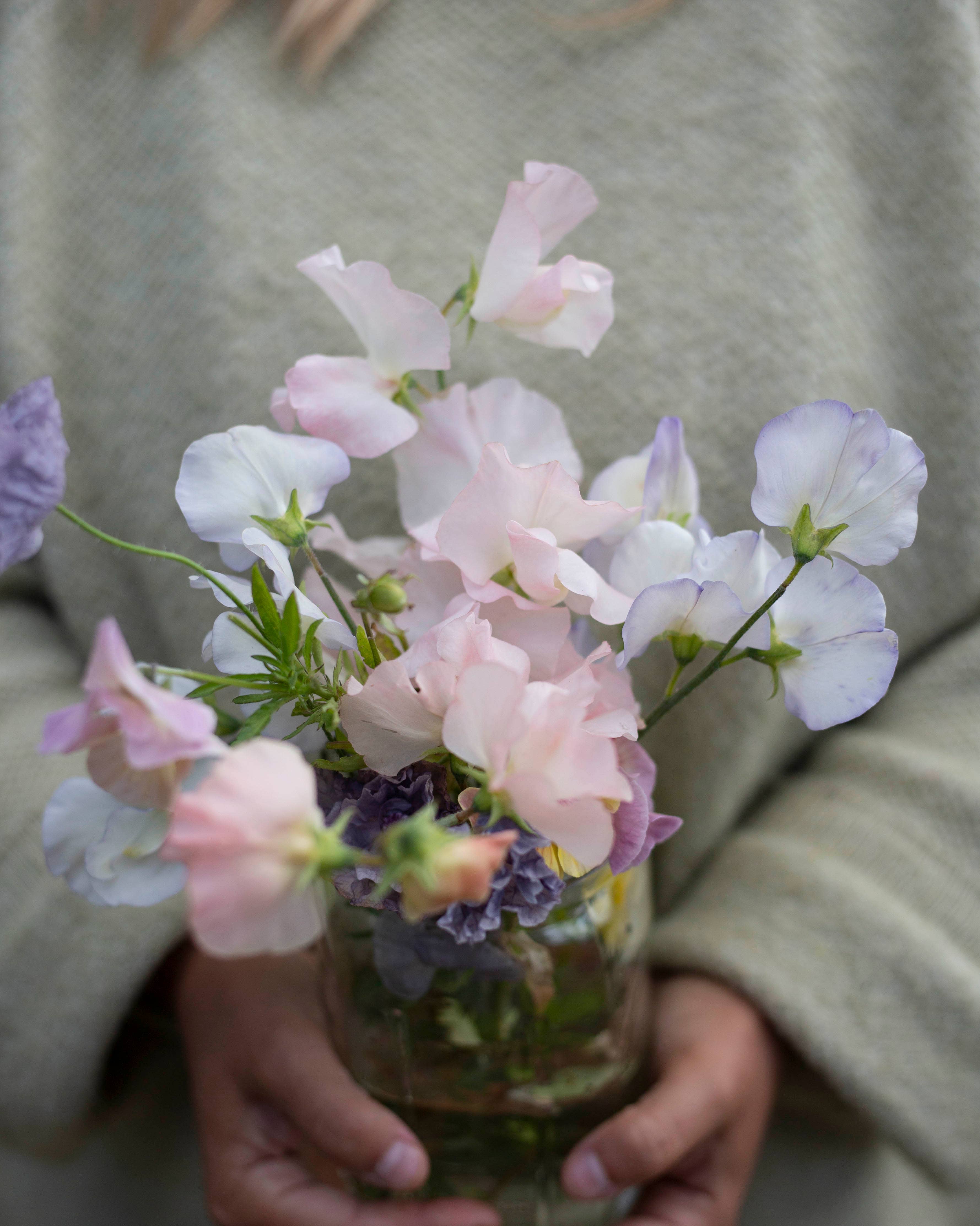 Duftwicke 'Spencer Old Times'