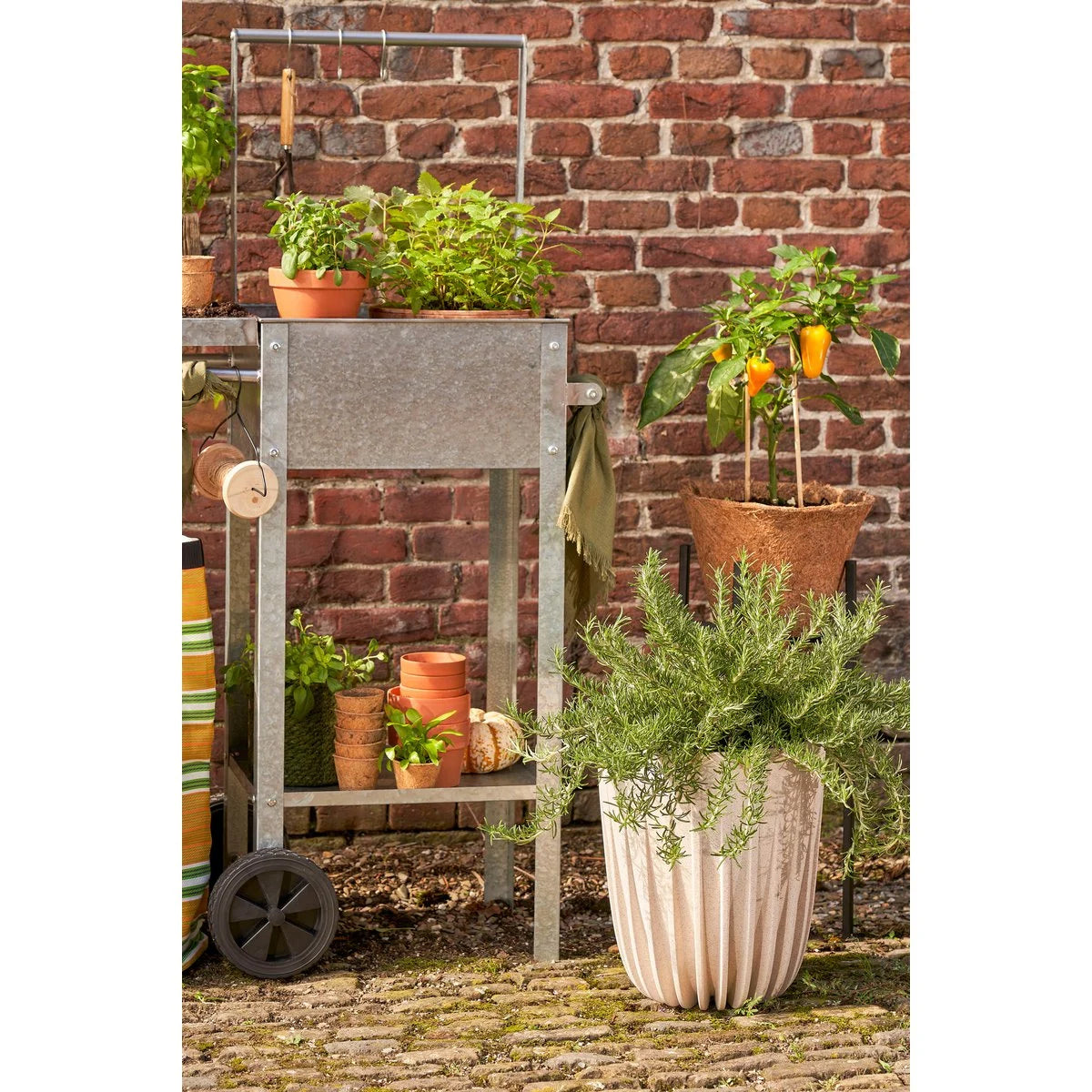 Blumentopf Lungo H36 x Ø30 cm