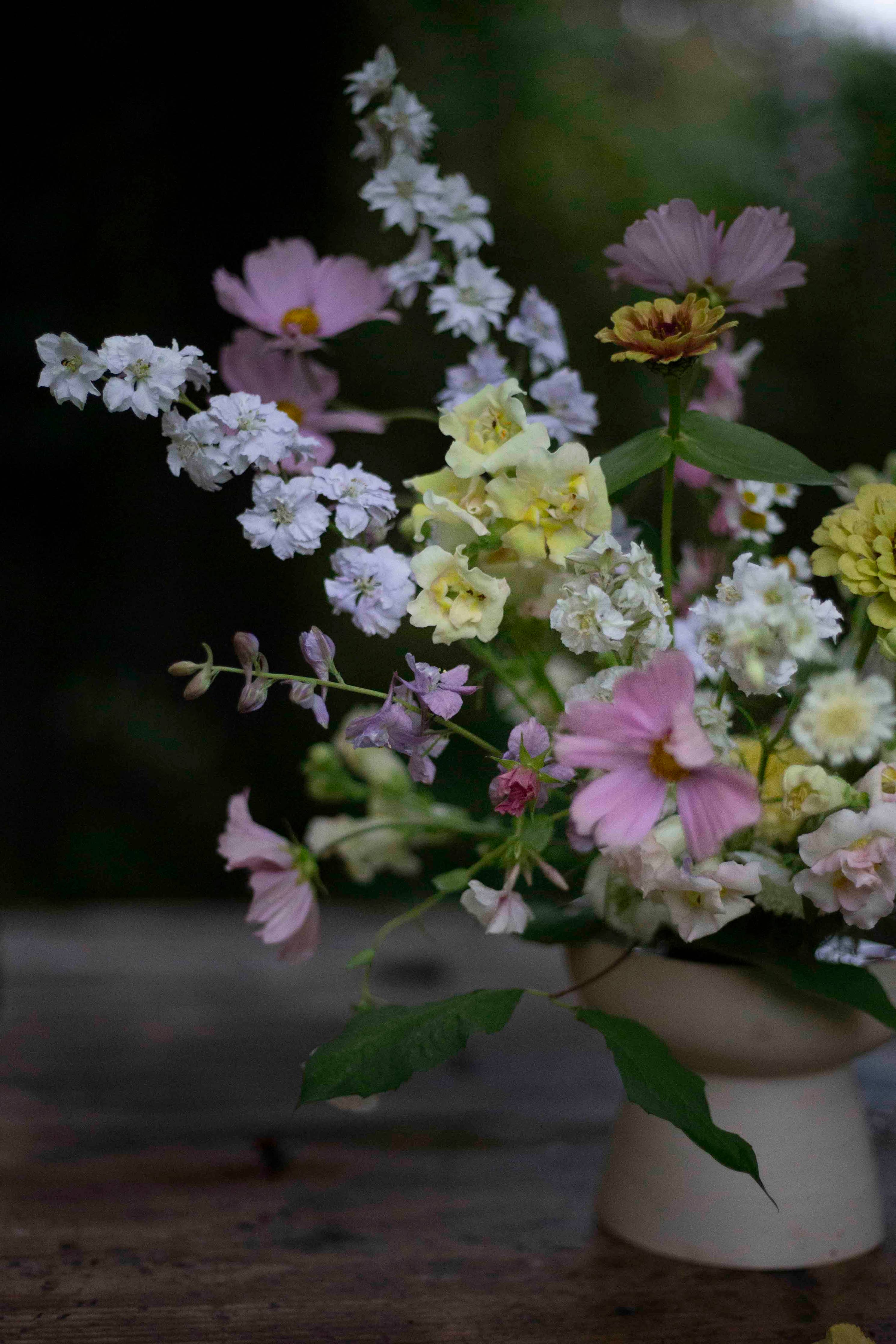 Tarhakukonkannus Winter Sky Medley