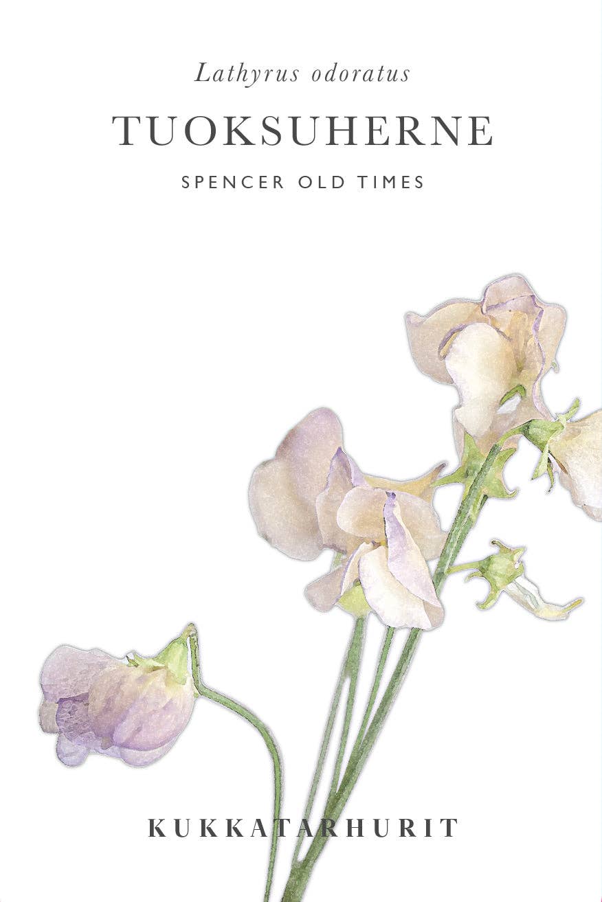 Duftwicke 'Spencer Old Times'