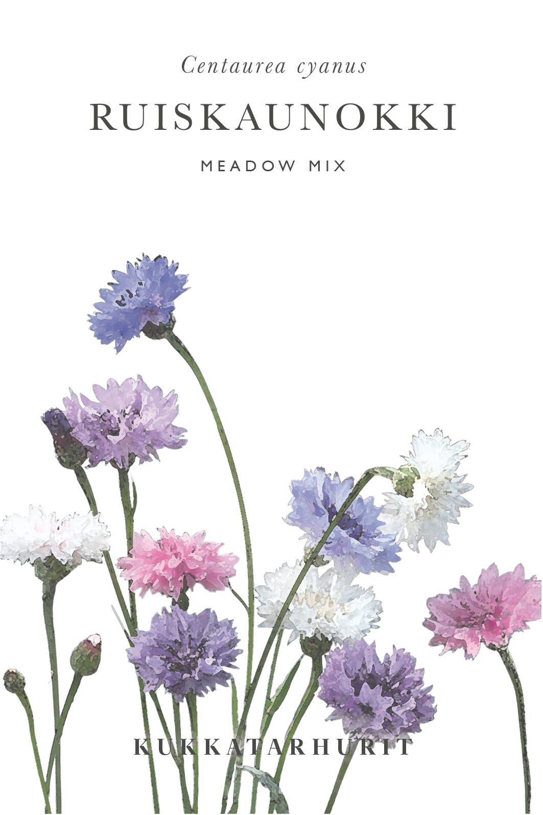 Ruiskaunokki 'Meadow Mix' – Kornblumen-Mischung