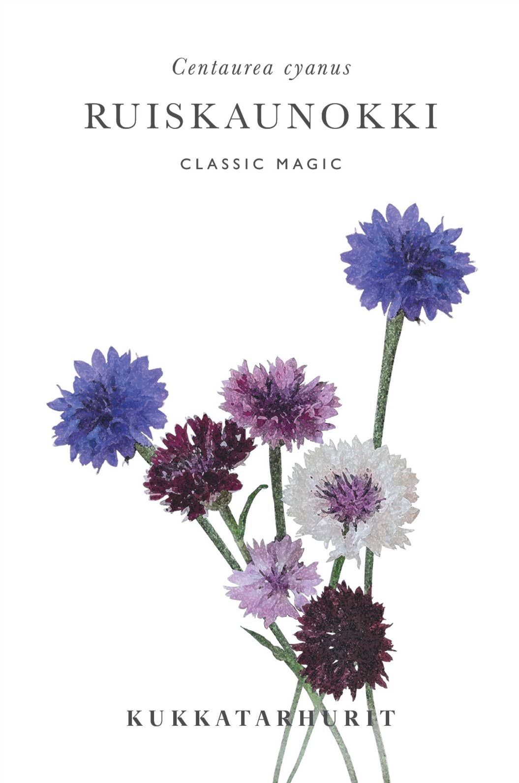 Ruiskaunokki Classic Magic - Kornblume