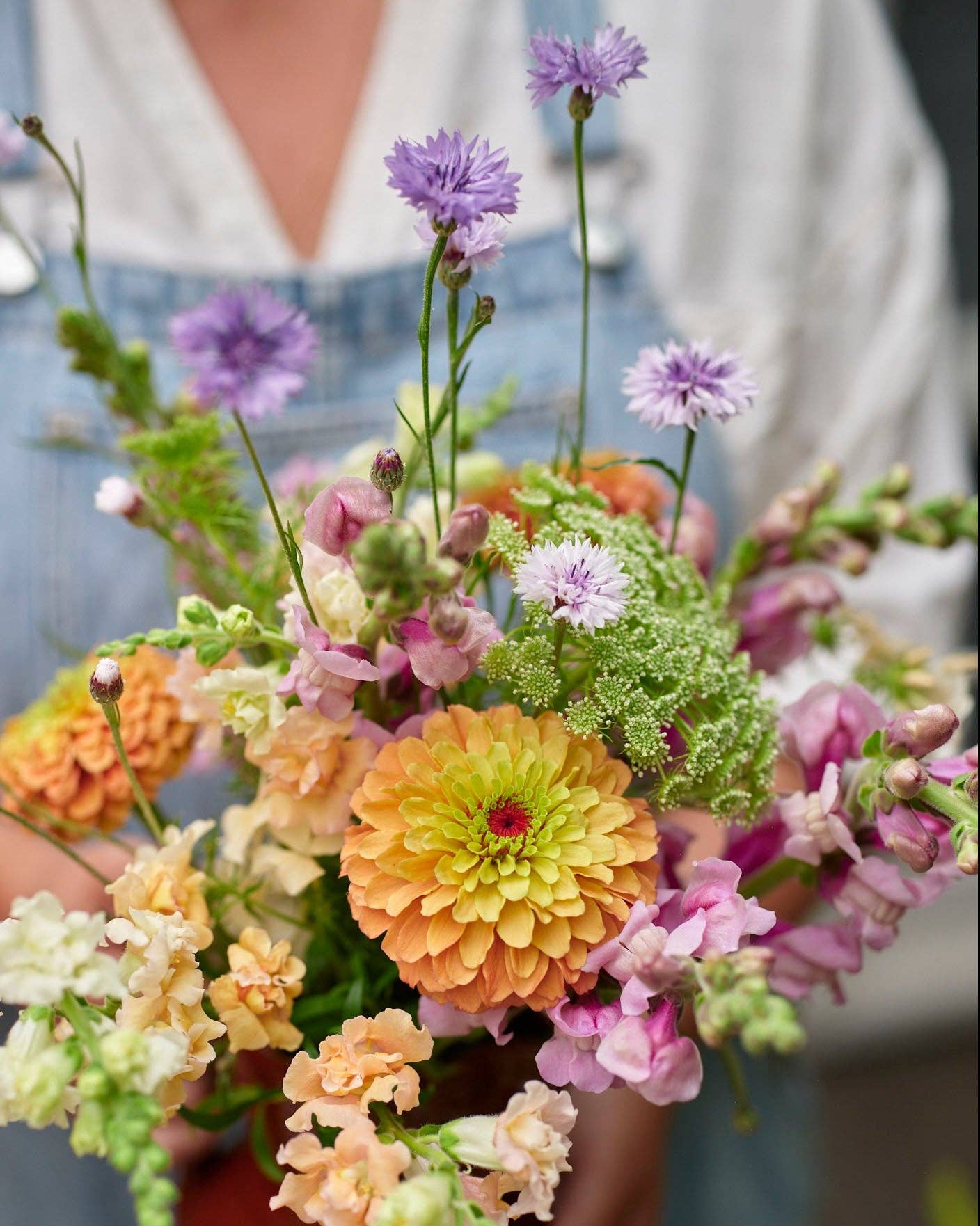 Leijonankita Potomac Lavendel