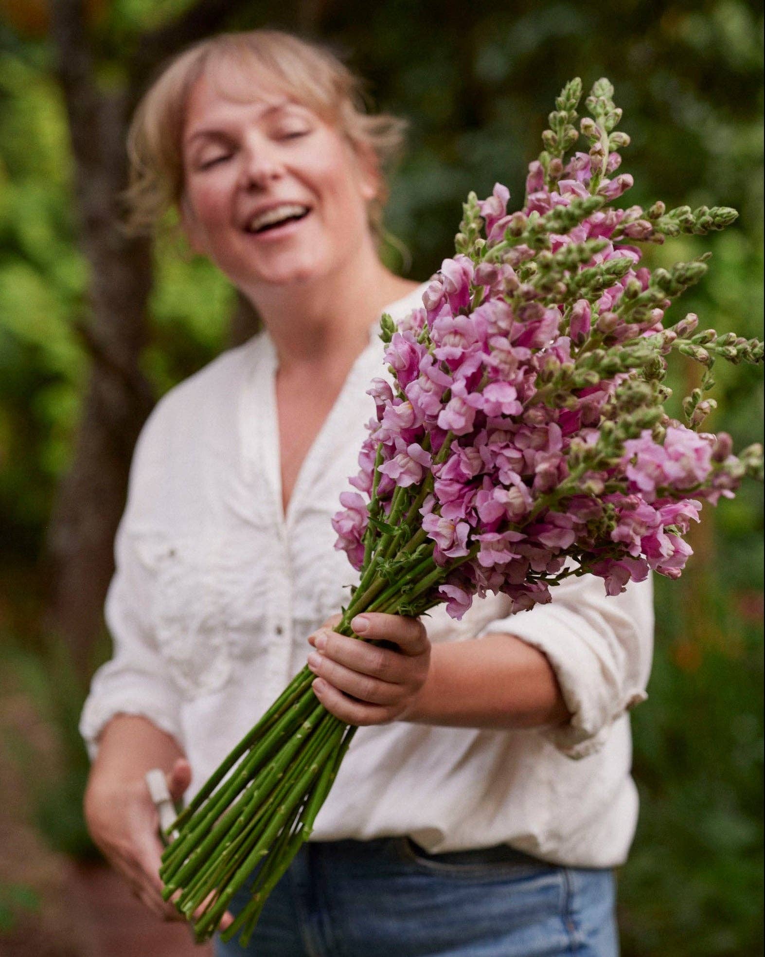 Leijonankita Potomac Lavendel