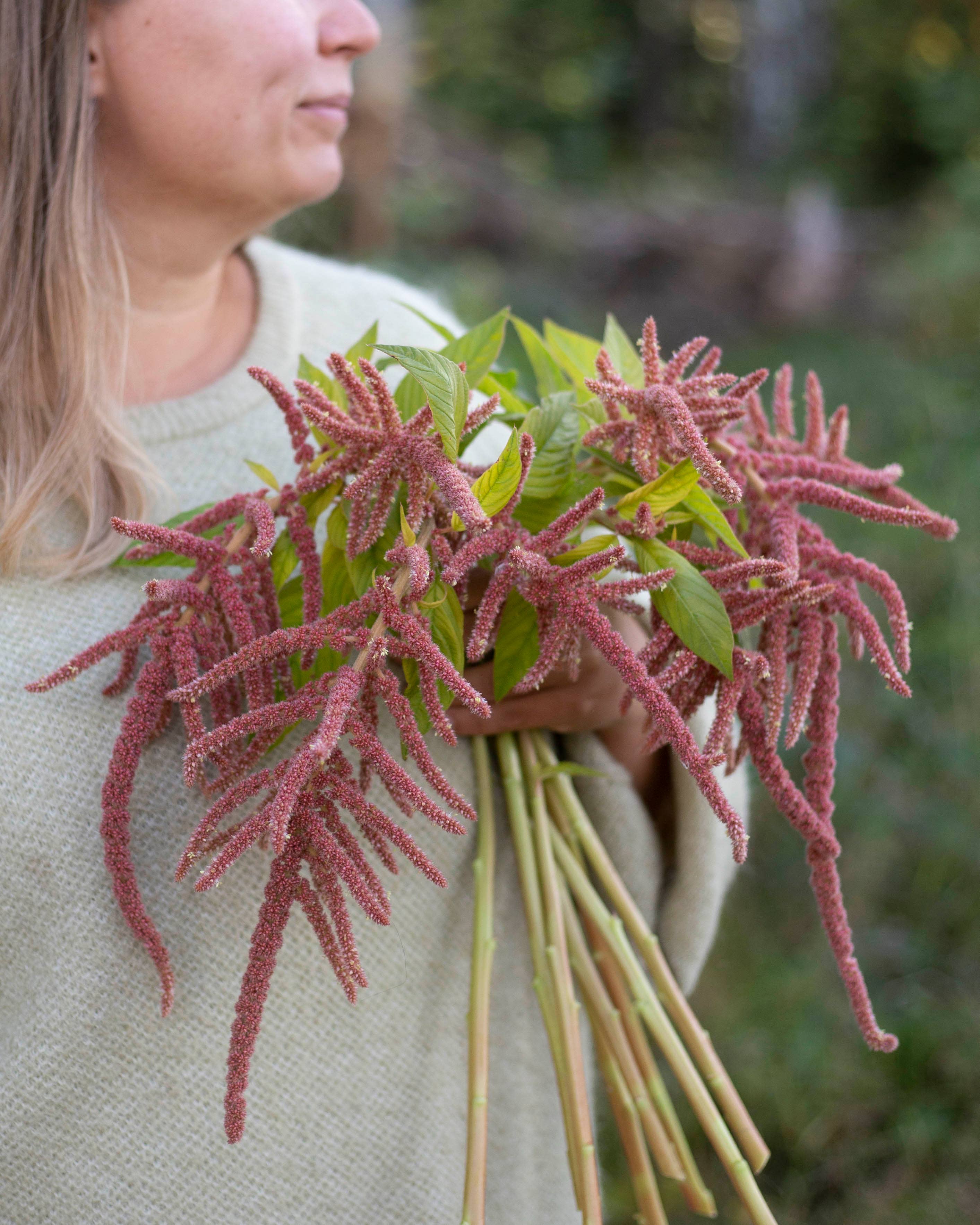 Revonhäntä Coral Fountain