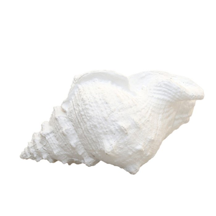 Dekorative weiße Muschel 25x17x13cm