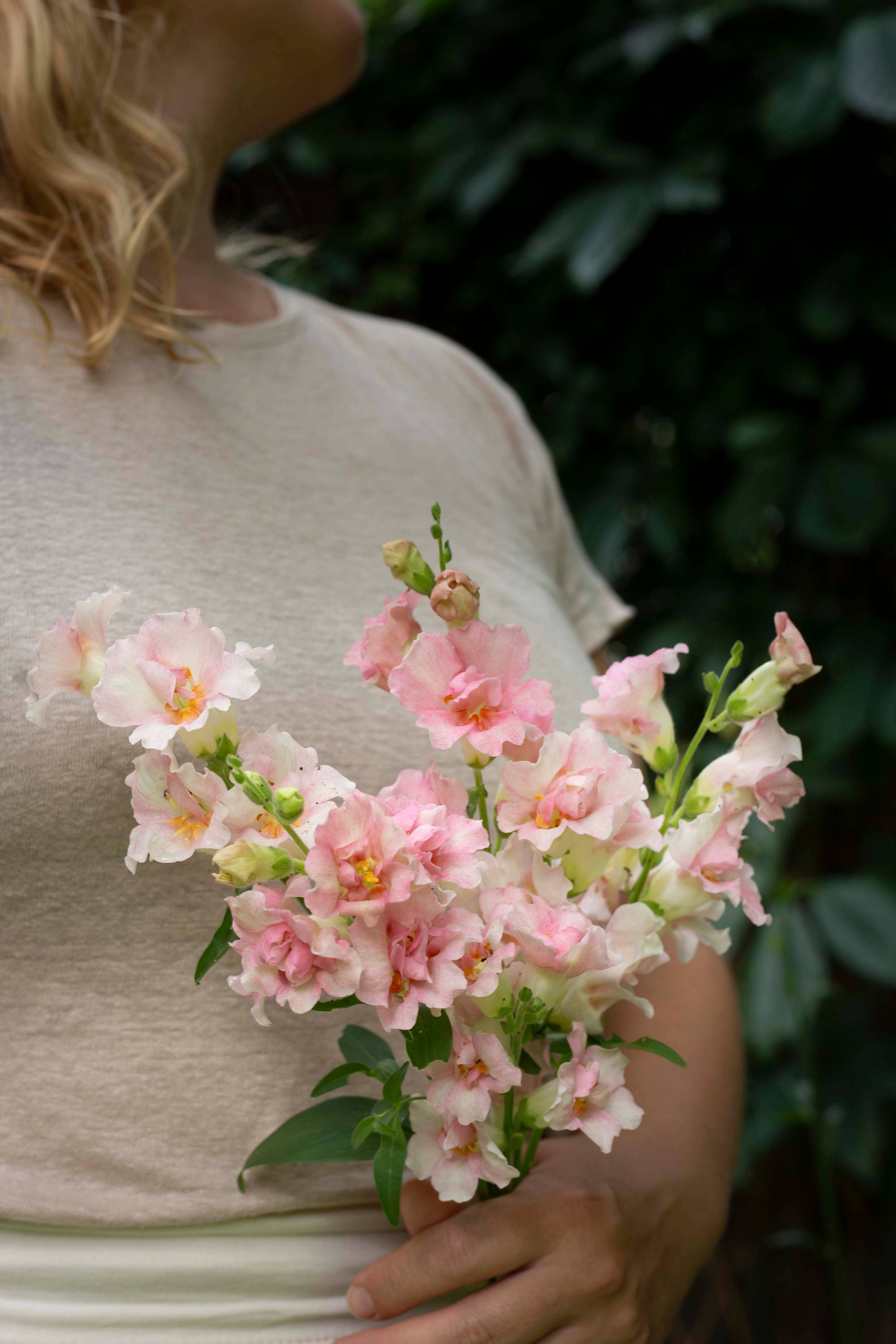 Leijonankita Doubleshot Apfelblüte