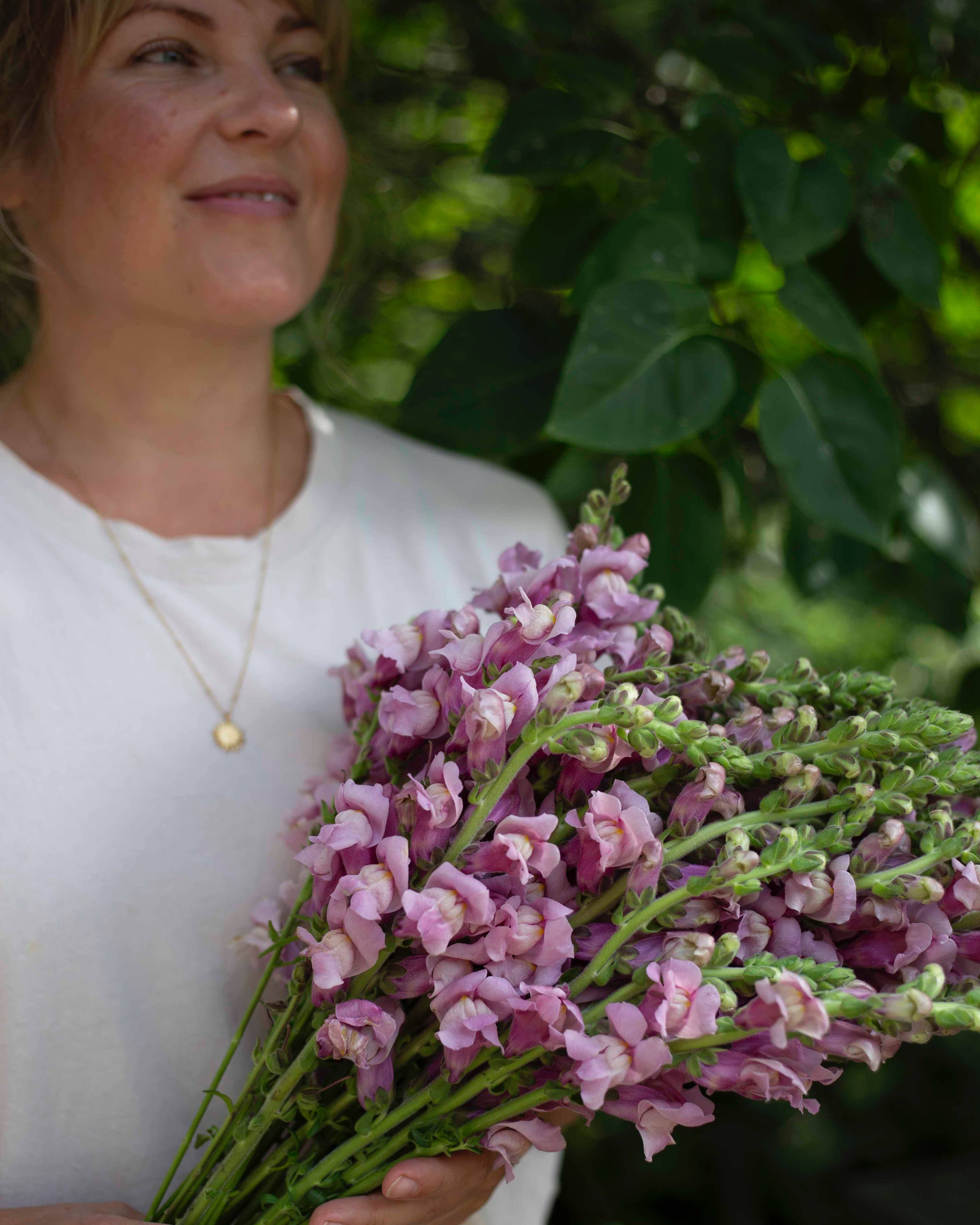 Leijonankita Potomac Lavendel