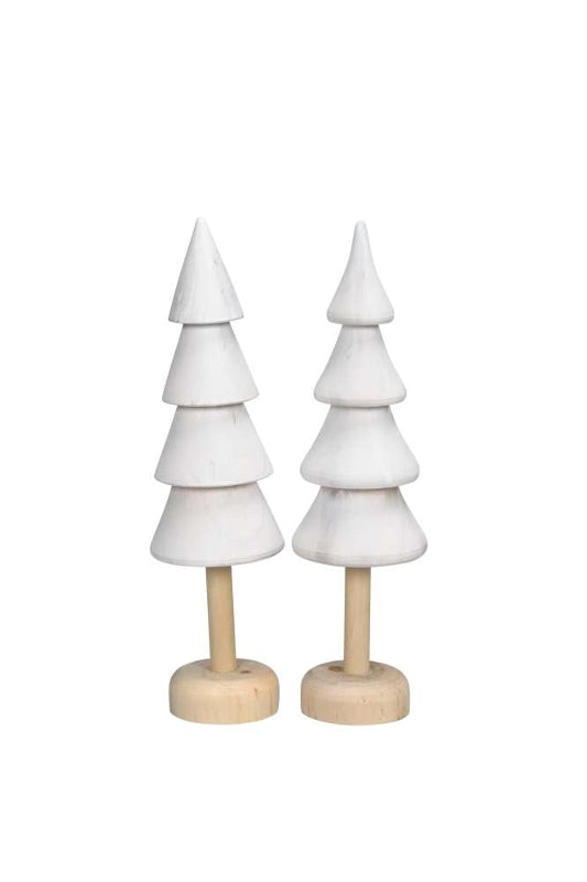 Baum weiss Kiefer