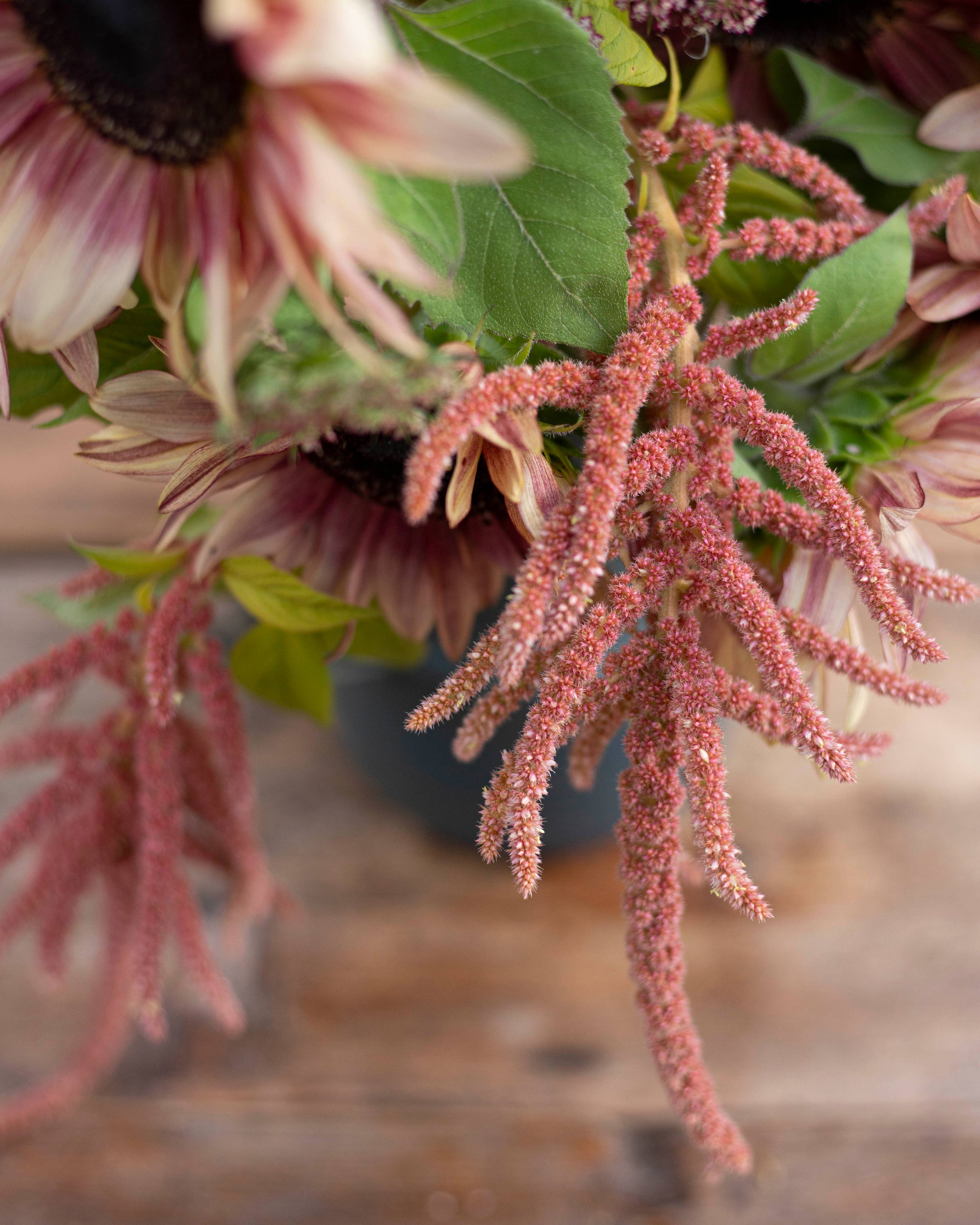 Revonhäntä Coral Fountain