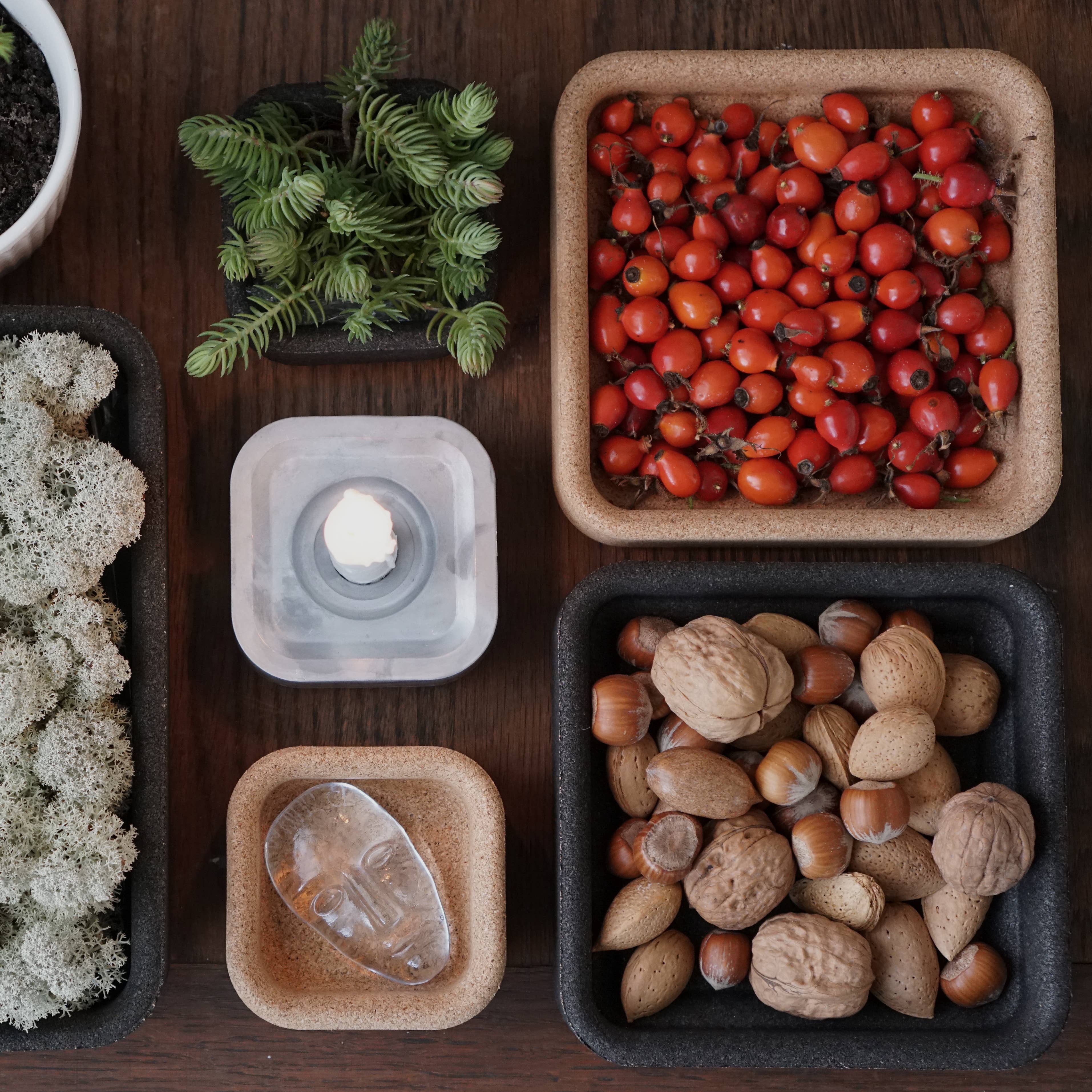 Korkschale Fyran Born in Sweden