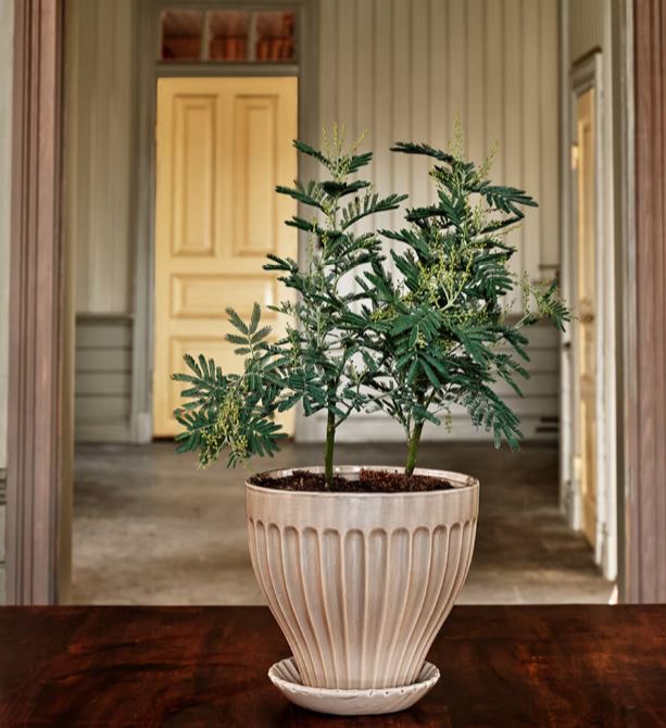 Blumentopf Anna beige