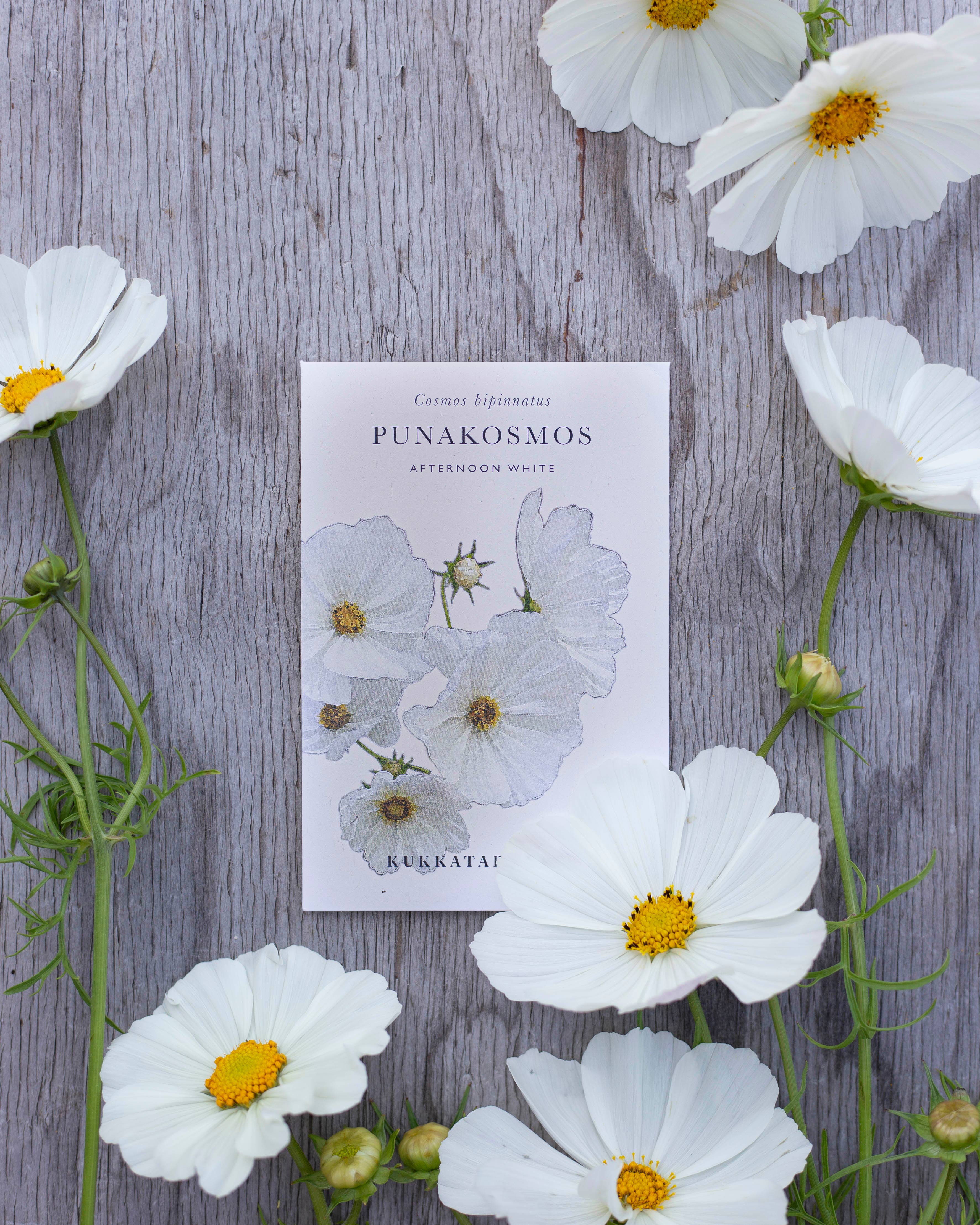 Punakosmos Afternoon White