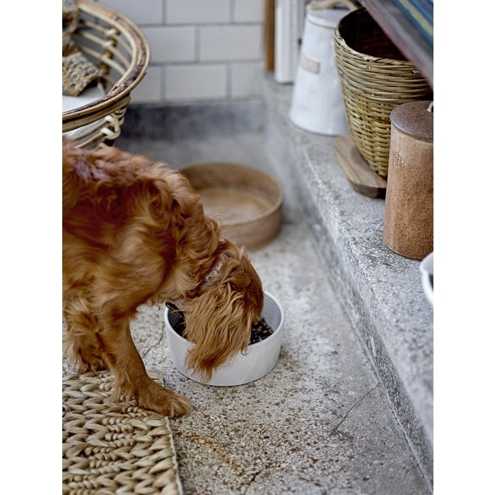 Buddy Pet Jar mit Deckel, Braun, Steinzeug