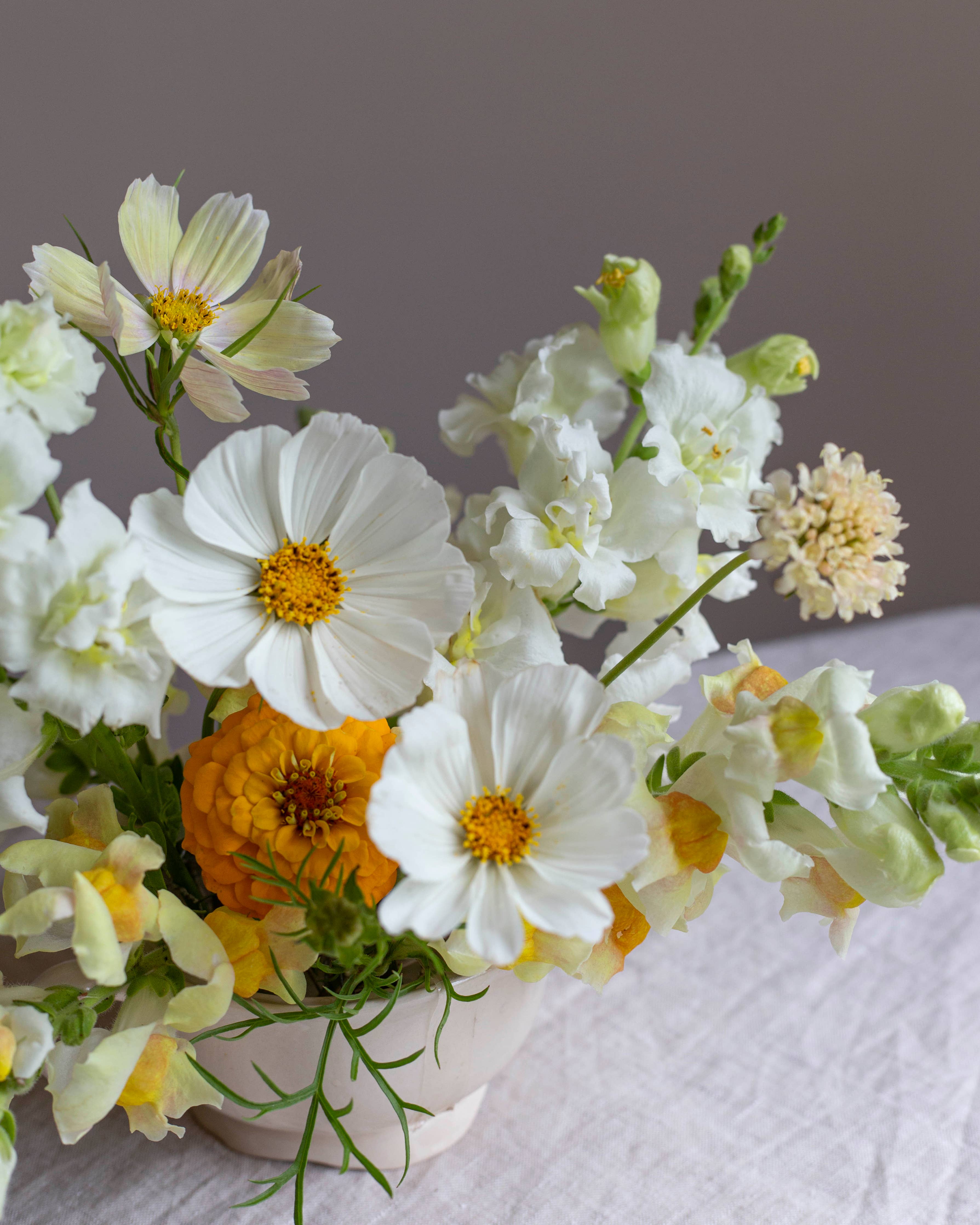 Punakosmos Afternoon White