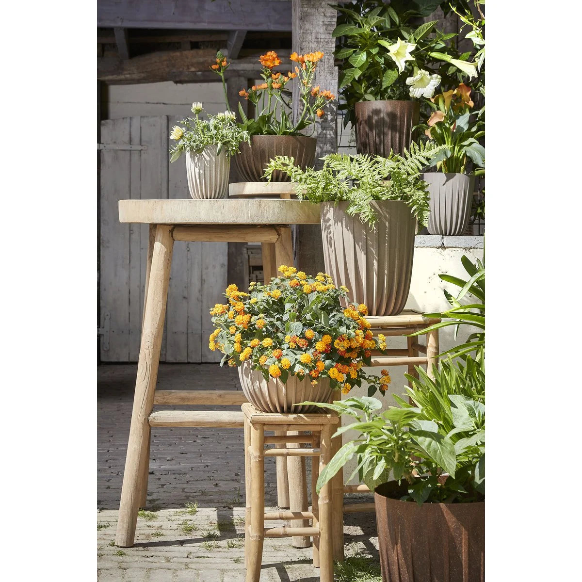 Blumentopf Lungo H36 x Ø30 cm