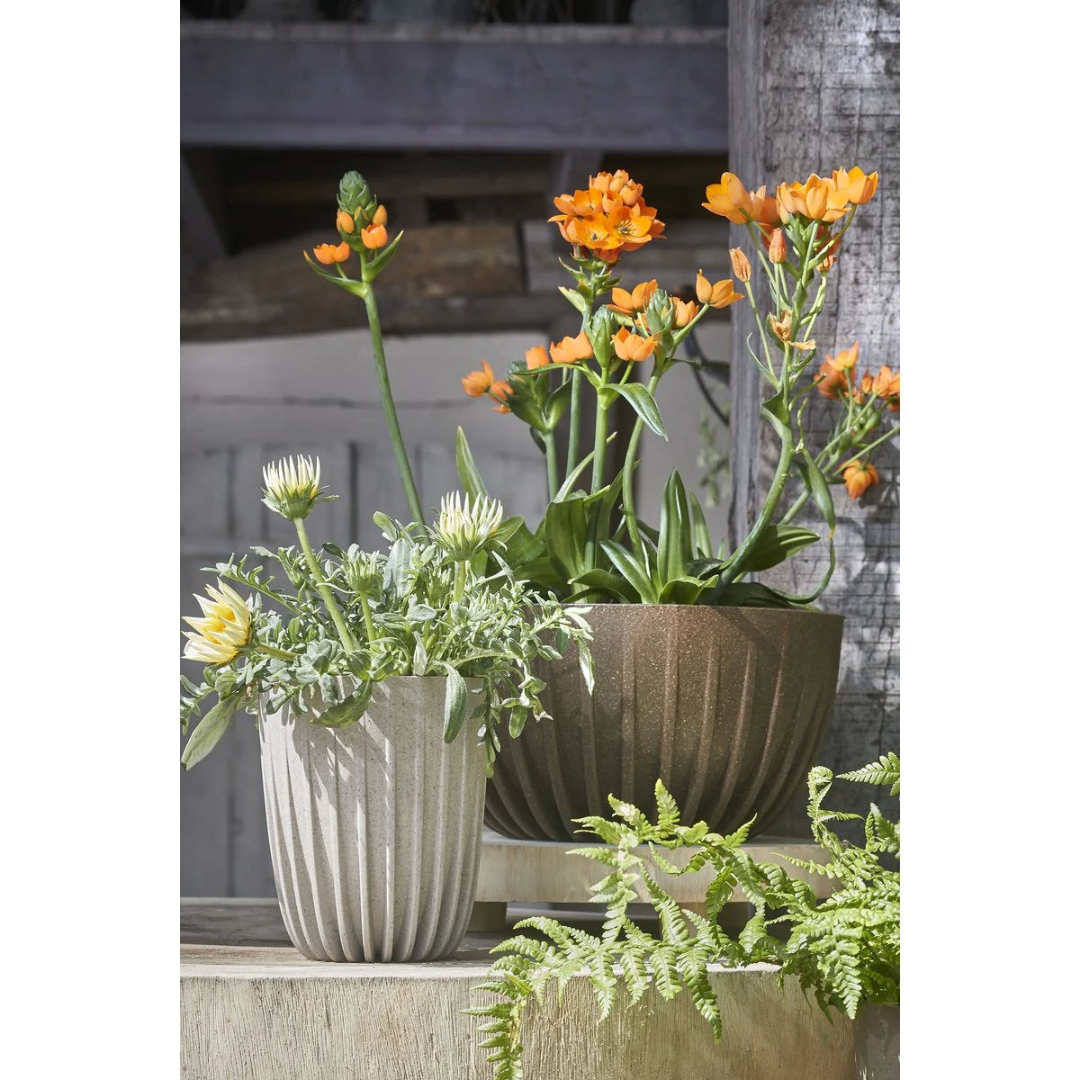 Blumentopf Lungo H36 x Ø30 cm