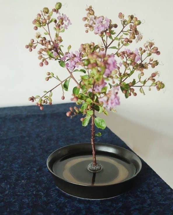 Gohobi Ikebana Kenzan Edelstahl Blumenständer Blumenhalter