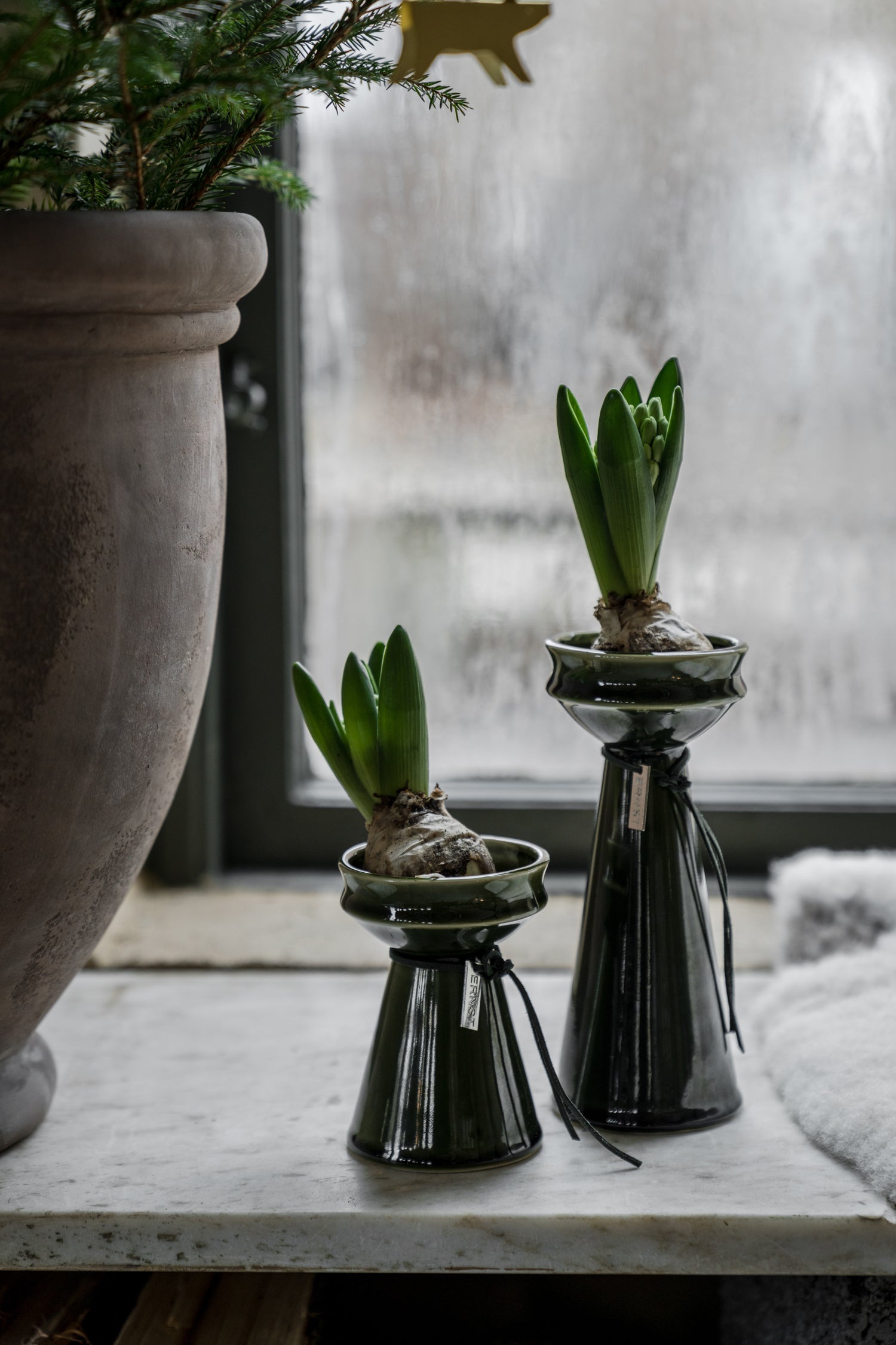 Hyazinthen Vase von  ERNST grün