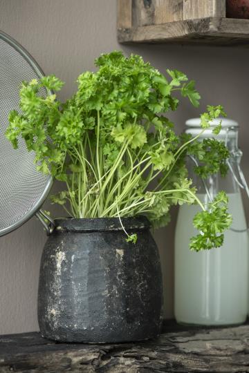 Steinkrug UNIKA verschiedene Größen