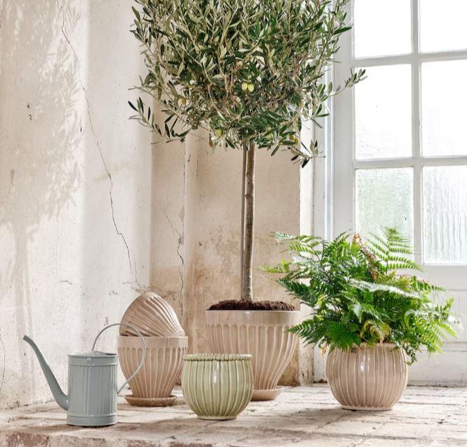 Blumentopf Vera Strömshaga