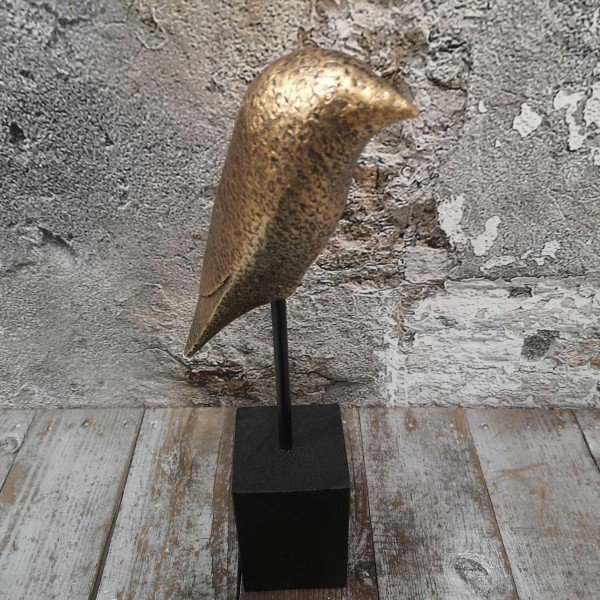 Vincy Vogel auf Fuß