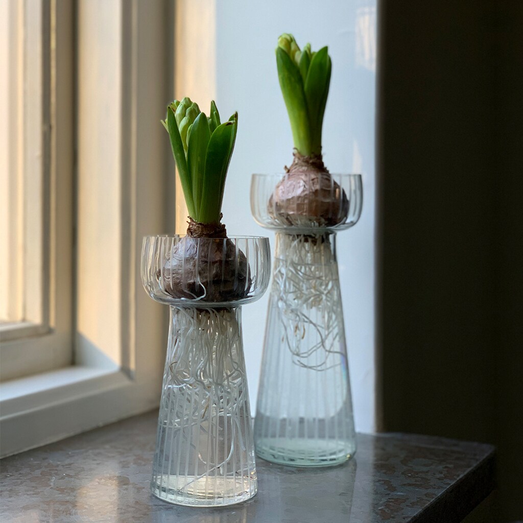 Hyazintenvase Strömshaga klar