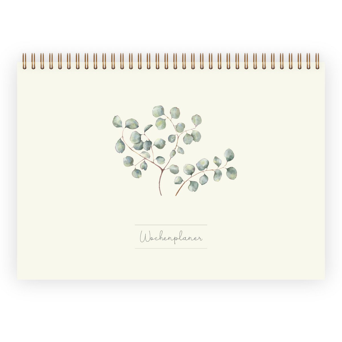 Wochenplaner Eukalyptus A4