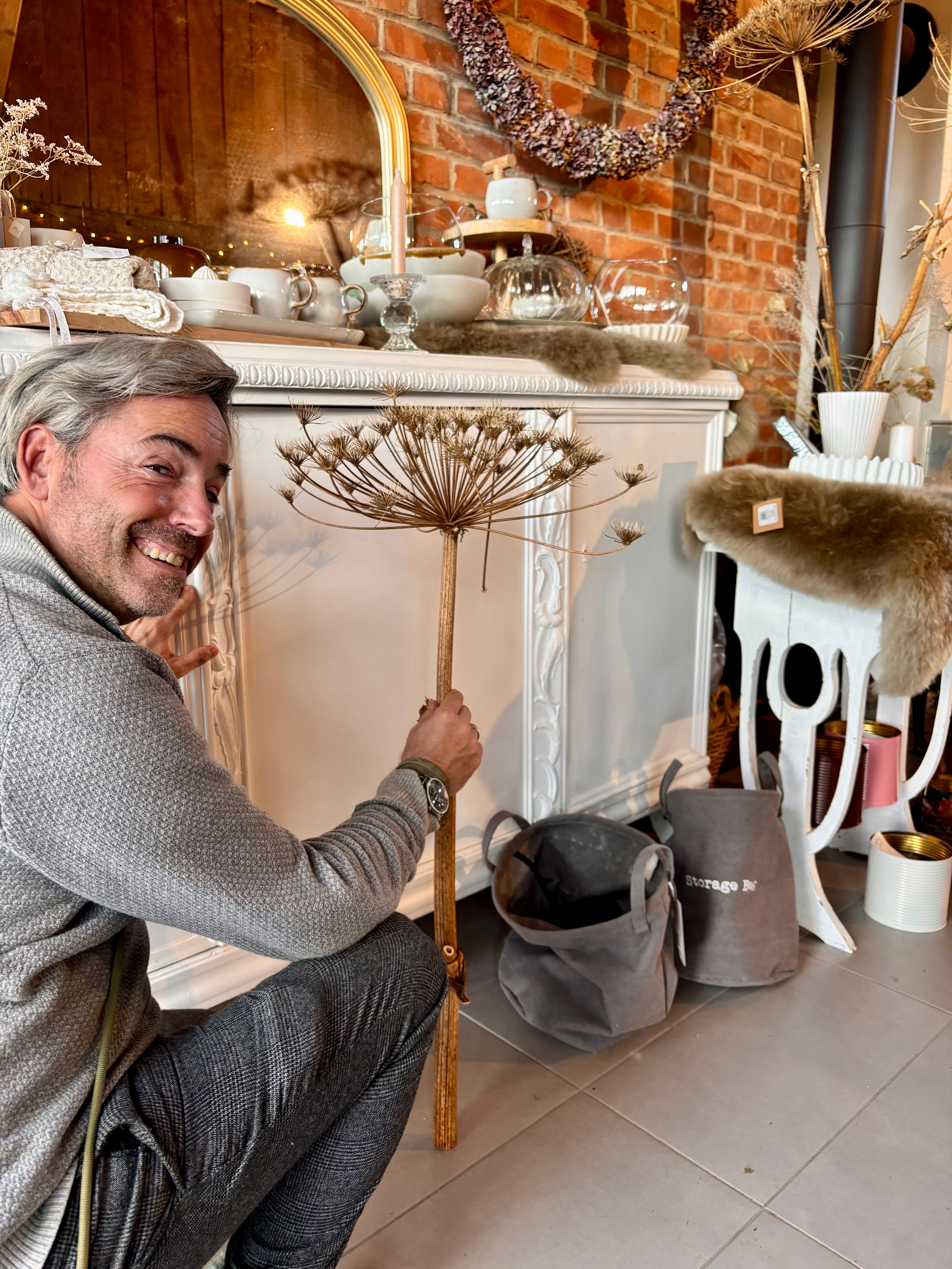 Bärenklau getrocknet