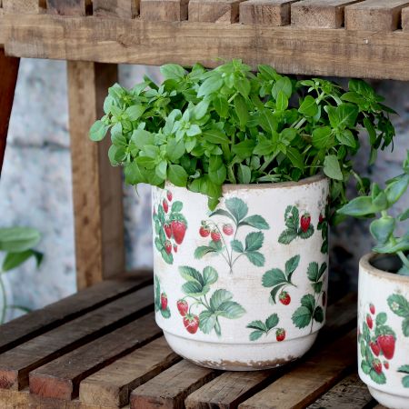 verschiedene Gefäße Beige Rot Keramik mit Erdbeeren