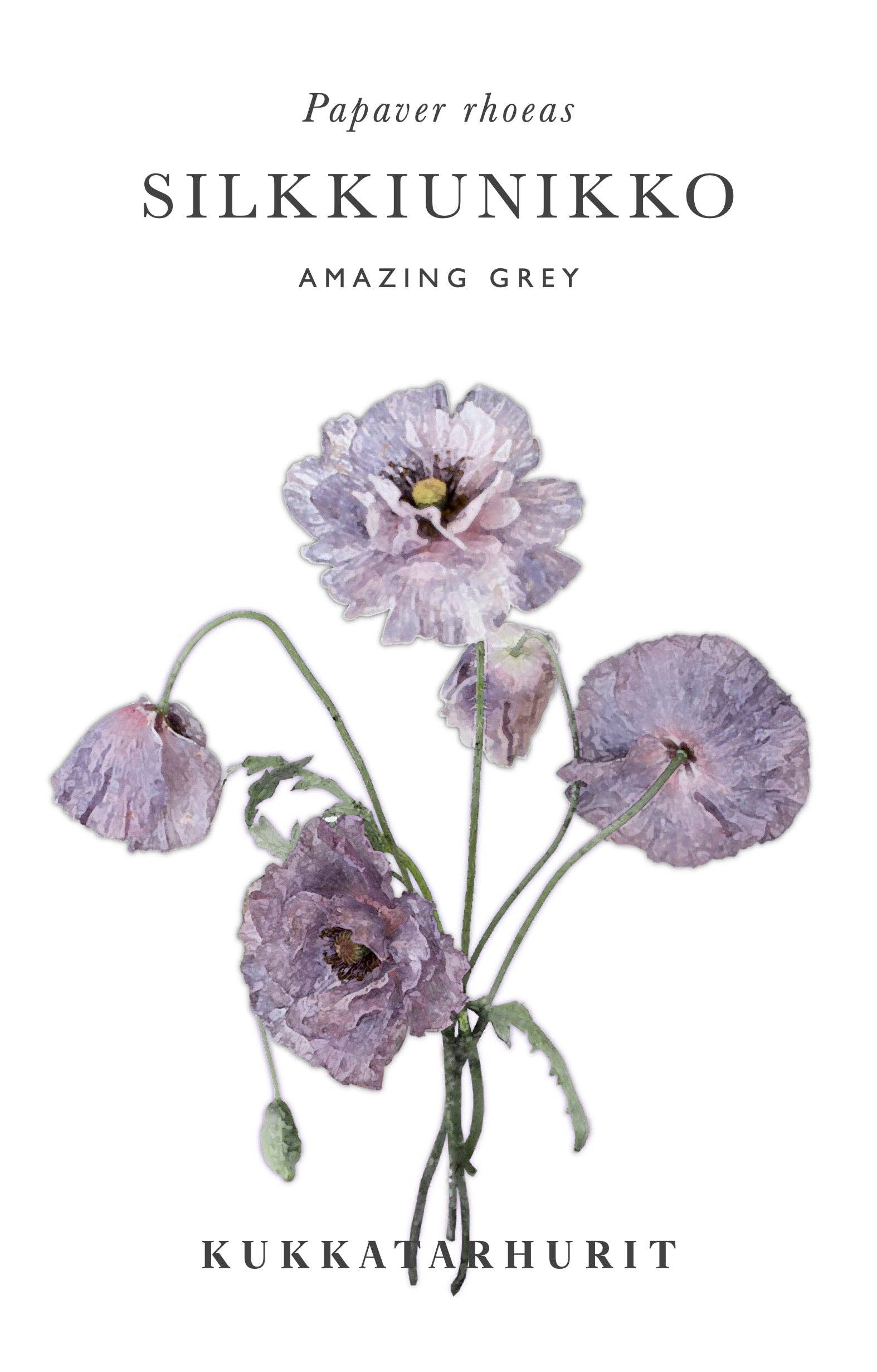 Silkkiunikko 'Amazing Grey' (Papaver rhoeas) – etwa 500 Samen
