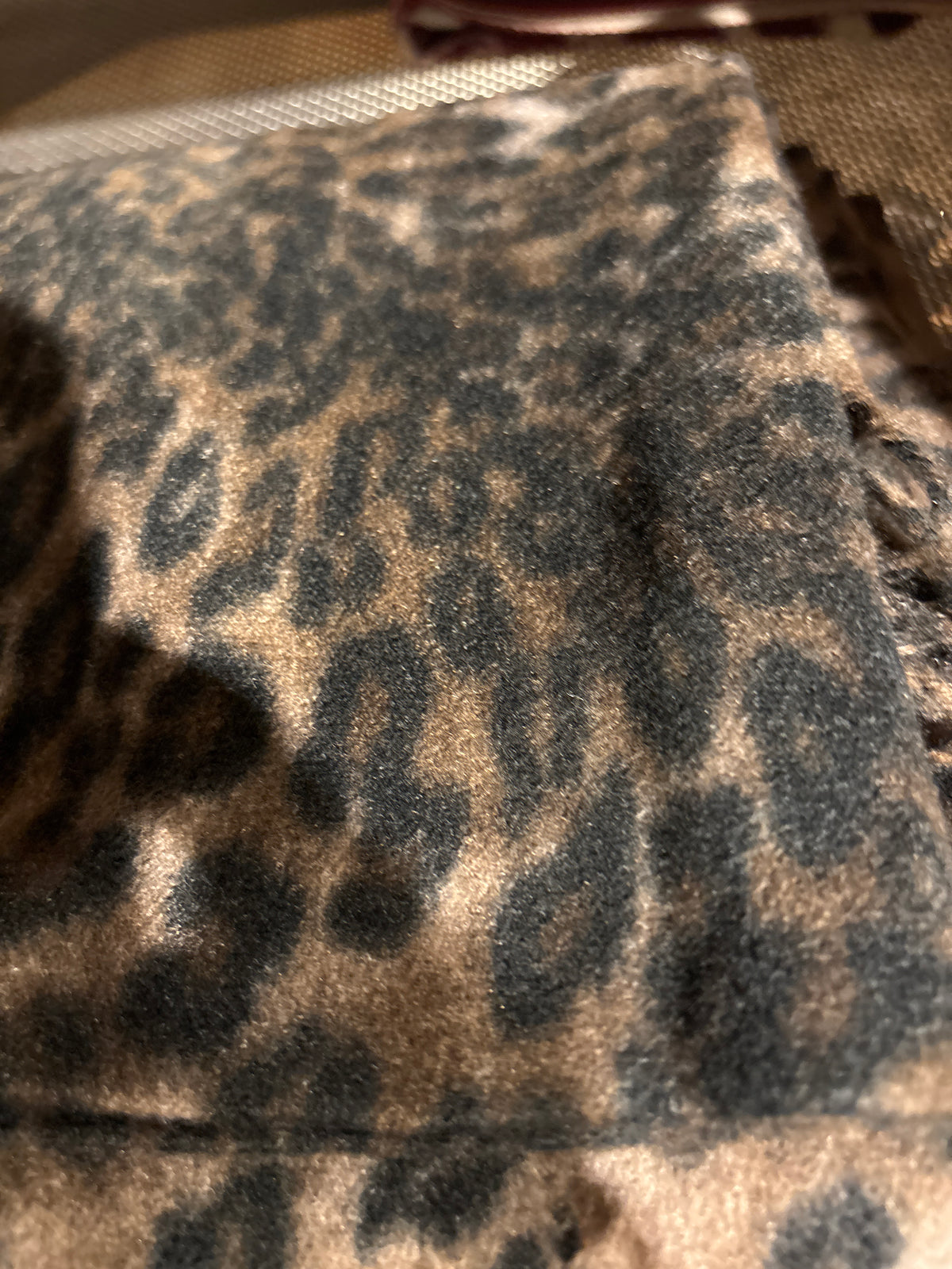 Leopardschal mit Fransen