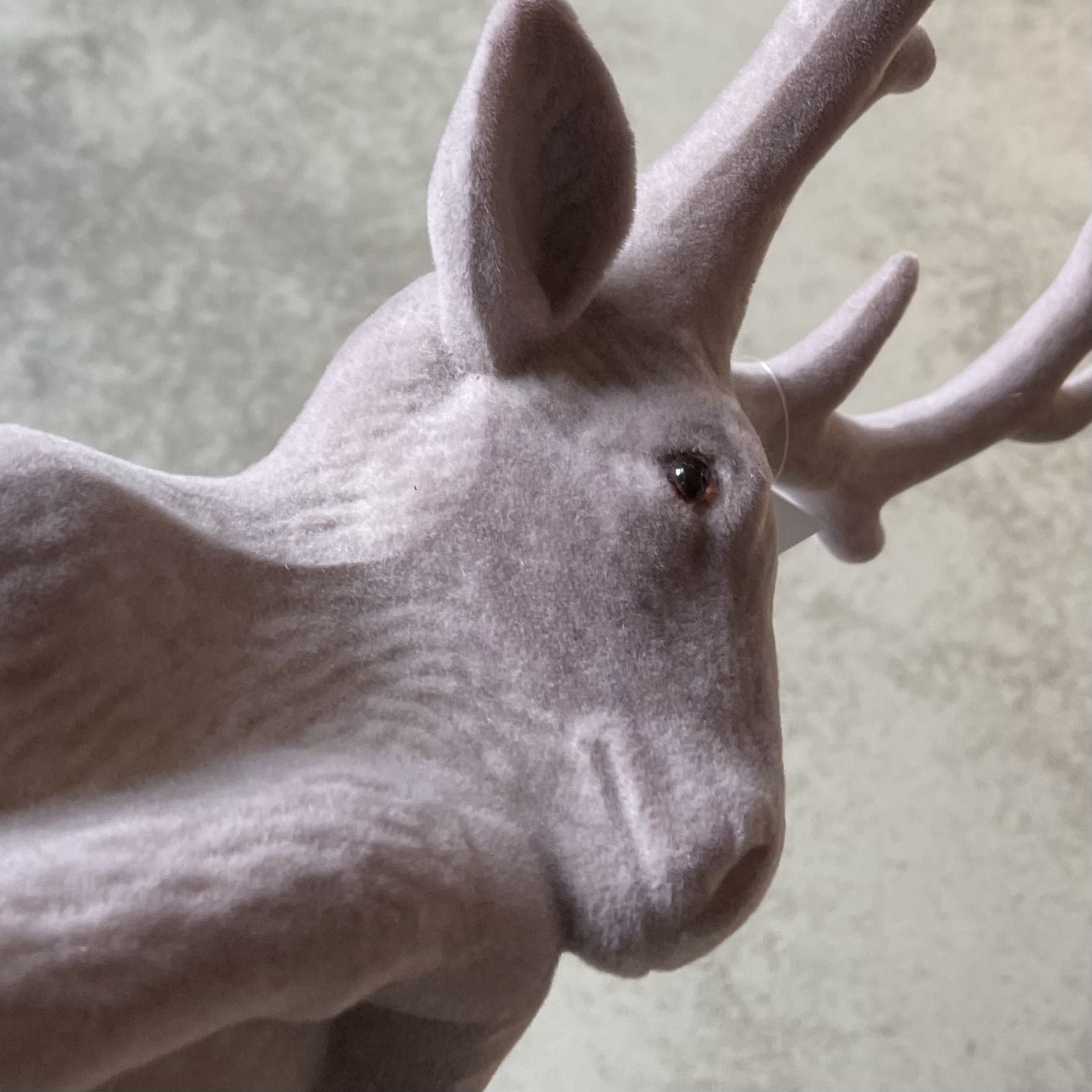 Kst. Hirschkopf "Tasko" H45cm,