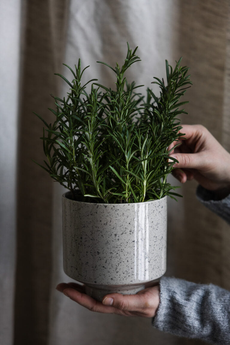 Ljungskogen Blumen Topf Storefactory