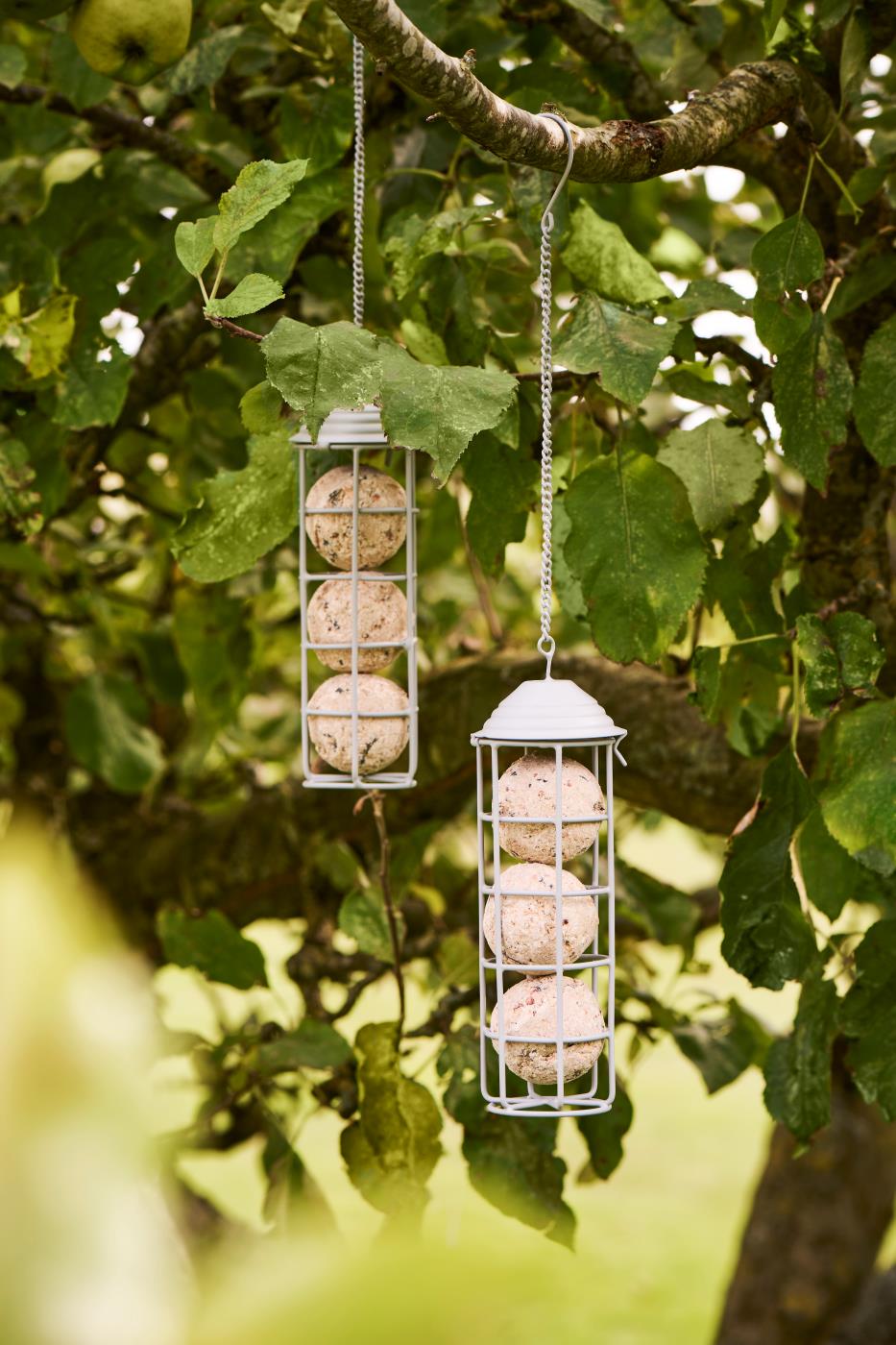 Vogelfutterhänger rund